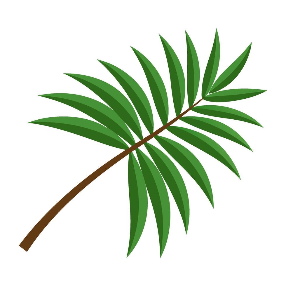 Palm leaf illustration vector