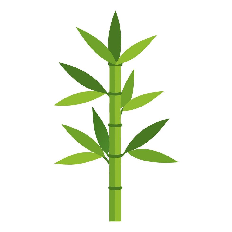 Bamboo plant. Chinese tree sprouts flat style isolated vector