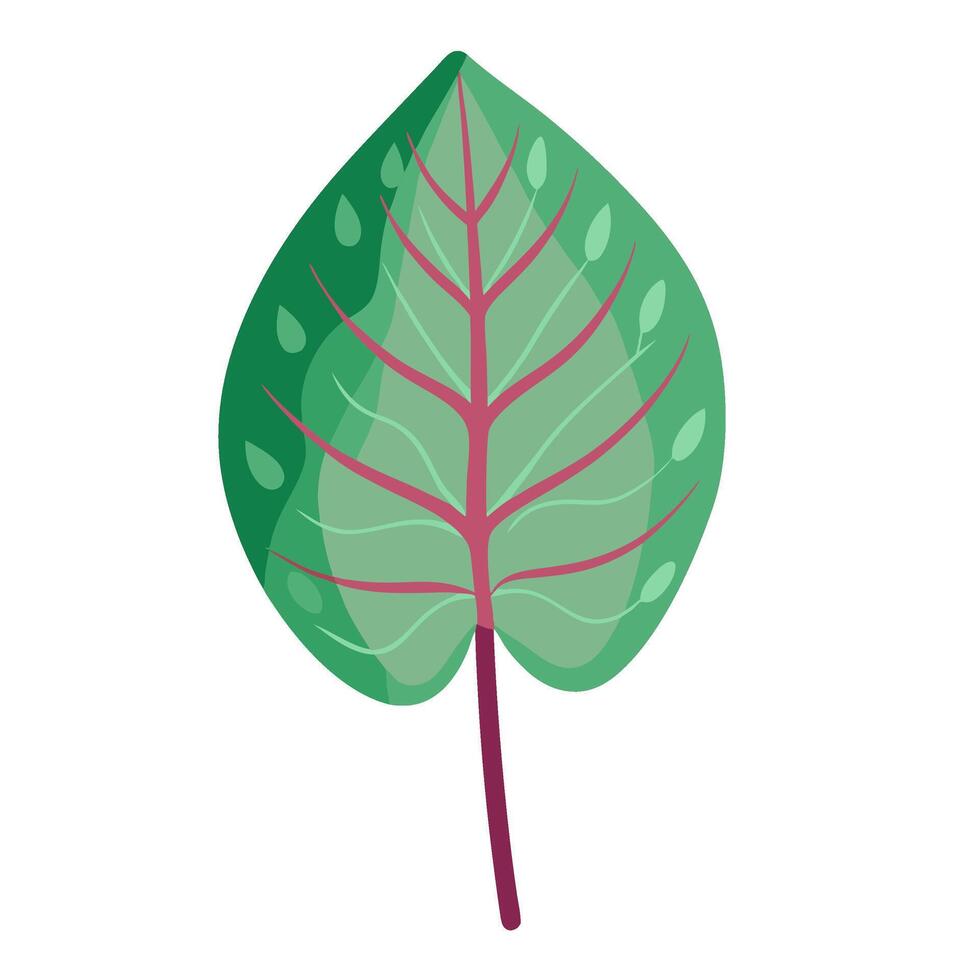 A green leaf with pink veins on it vector