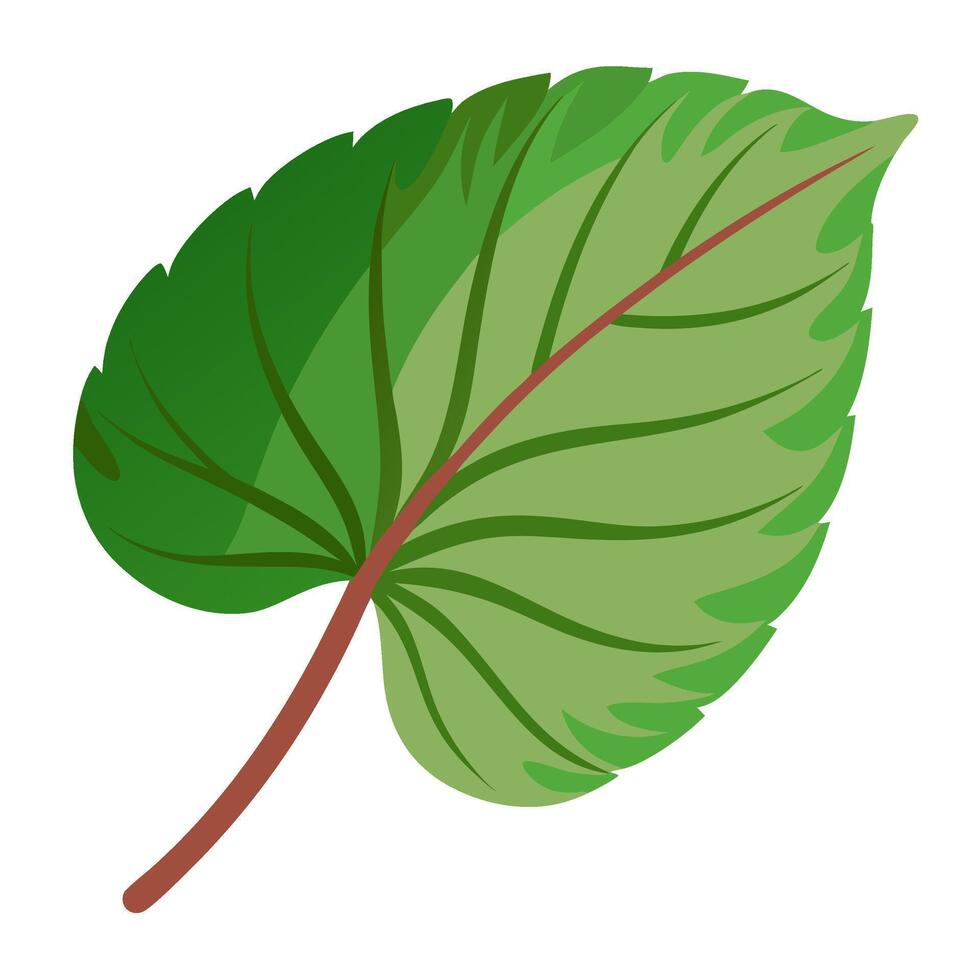 A green leaf with a red stem on a white background vector