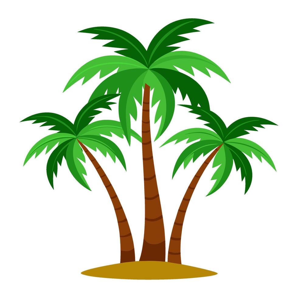 Tropical palm trees flat style isolated. Coconut trees illustration vector