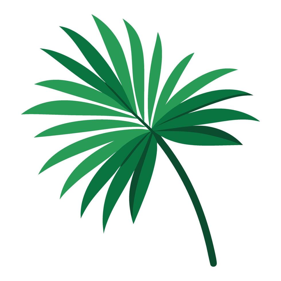 Palm leaf illustration vector