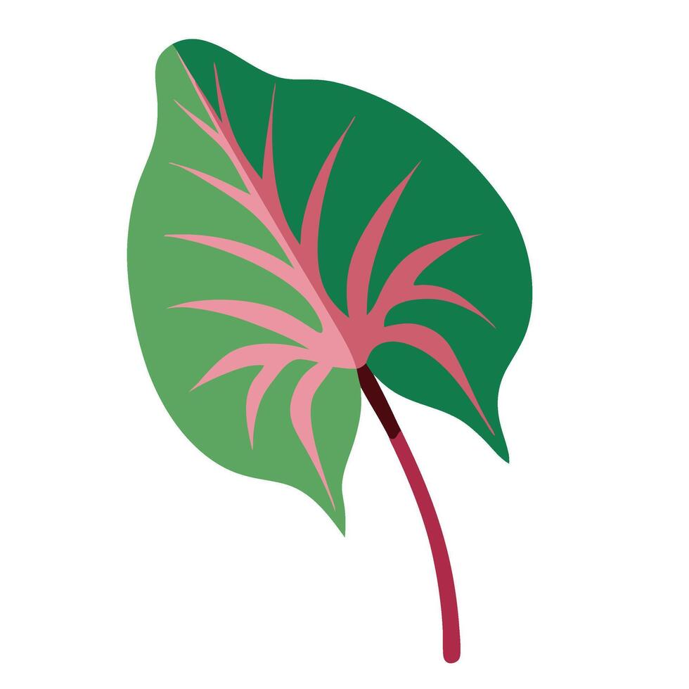 A green leaf with pink stems on a white background vector
