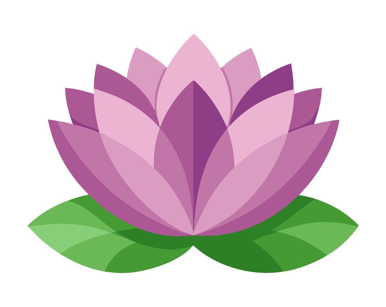 A purple lotus flower on a white background vector