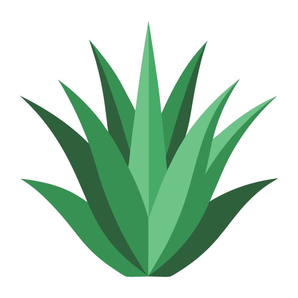 Aloe vera plant icon illustration vector