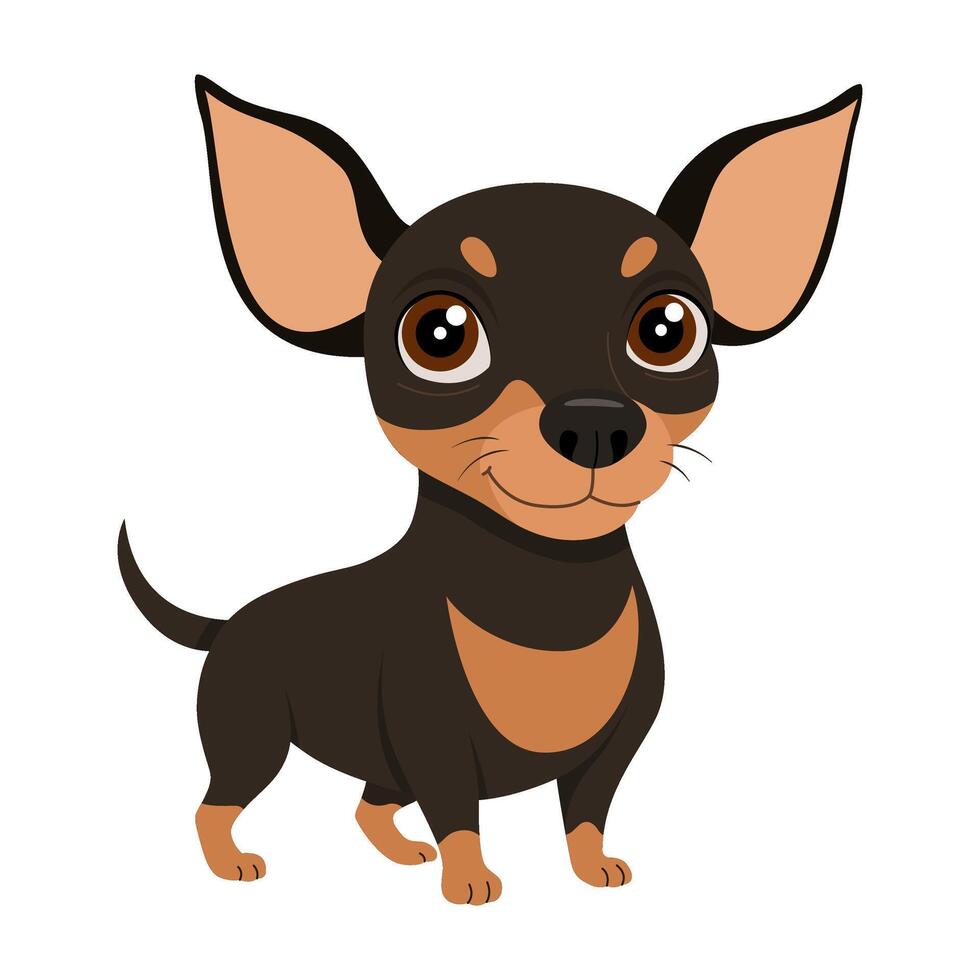 Cute black Chiweenie dog or chihuahua, mini pinscher. Dog is standing. Hand drawn flat style isolated. illustration vector