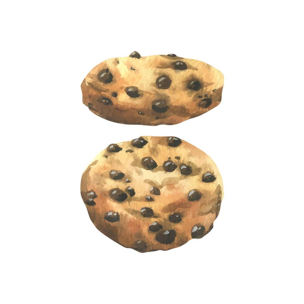 Homemade cookies with chocolate chips. Watercolor illustration, hand drawn. Set of isolated elements on a white background. vector