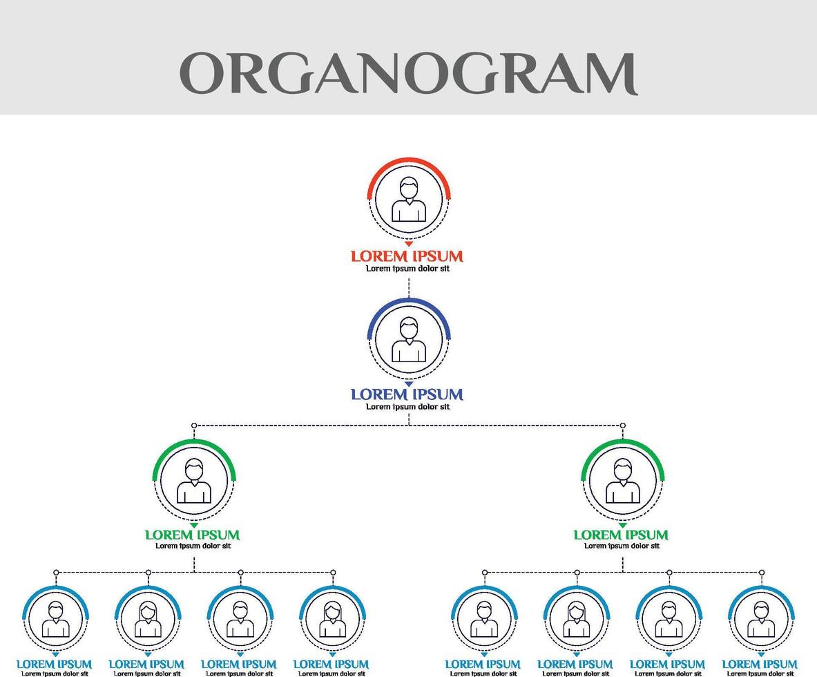 Department Organogram System Organization Chart vector