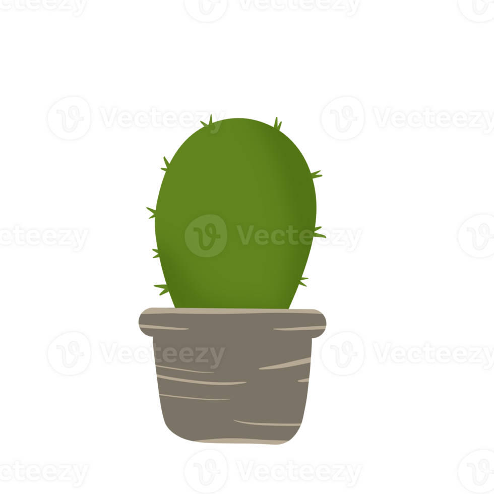 Illustration of a round cactus in a pot png