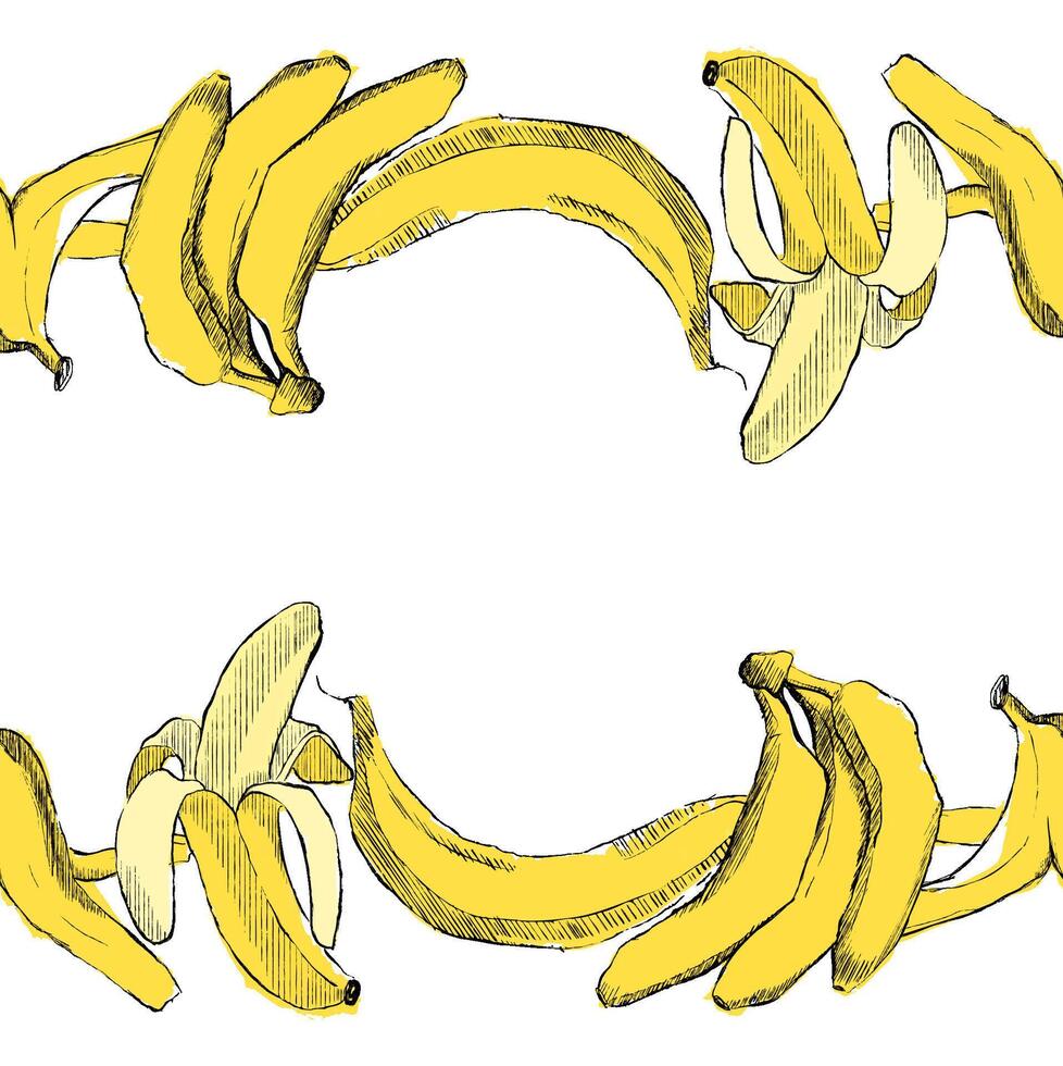 Frame horizontal border made of graphic bananas. illustration isolated on transparent background. vector