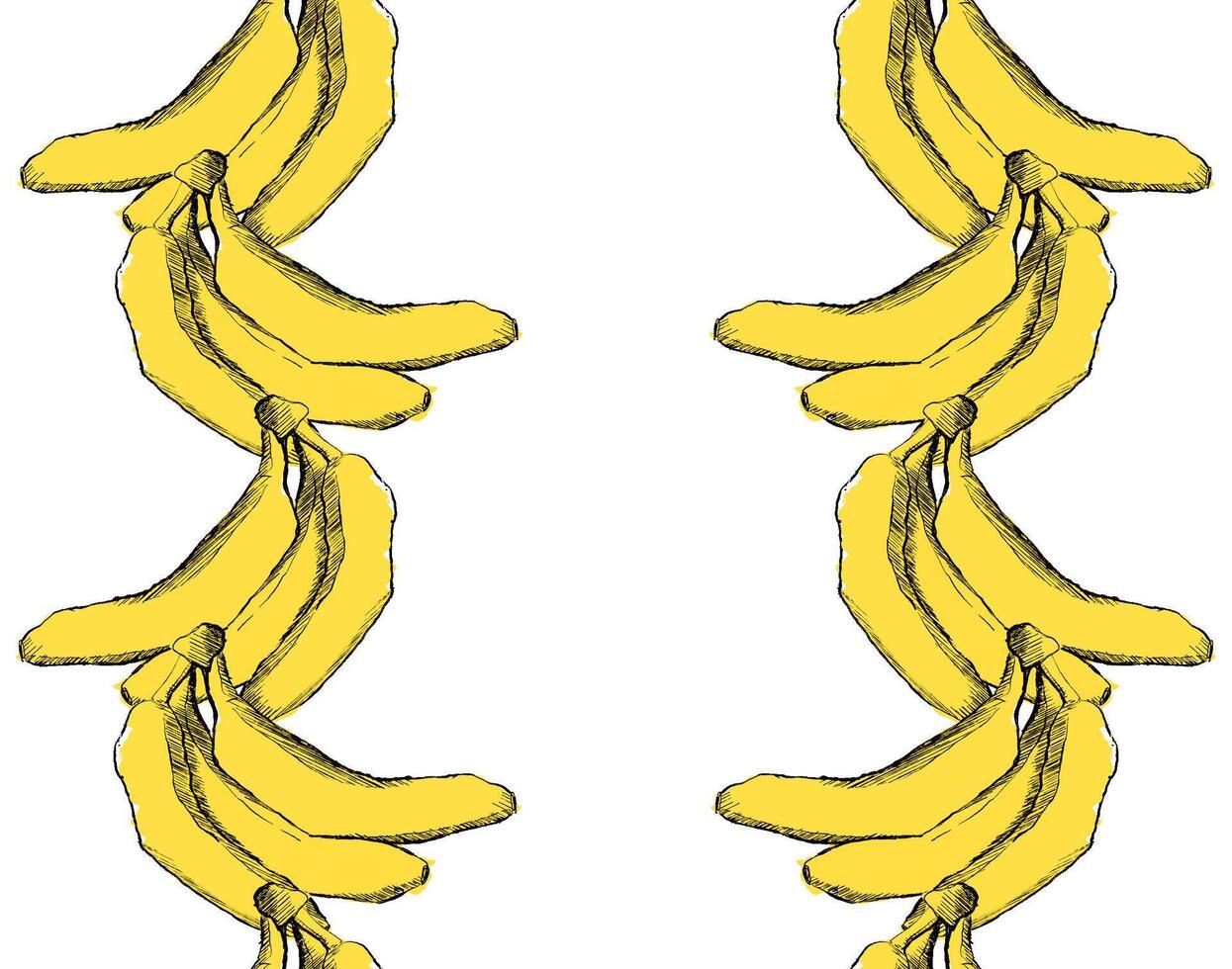 Ripe bananas vertical template seamless border frame. Hand drawn sketch. Graphic illustration. Tropical fruit. Packaging design, menu design, juice packaging. Banana frame. vector