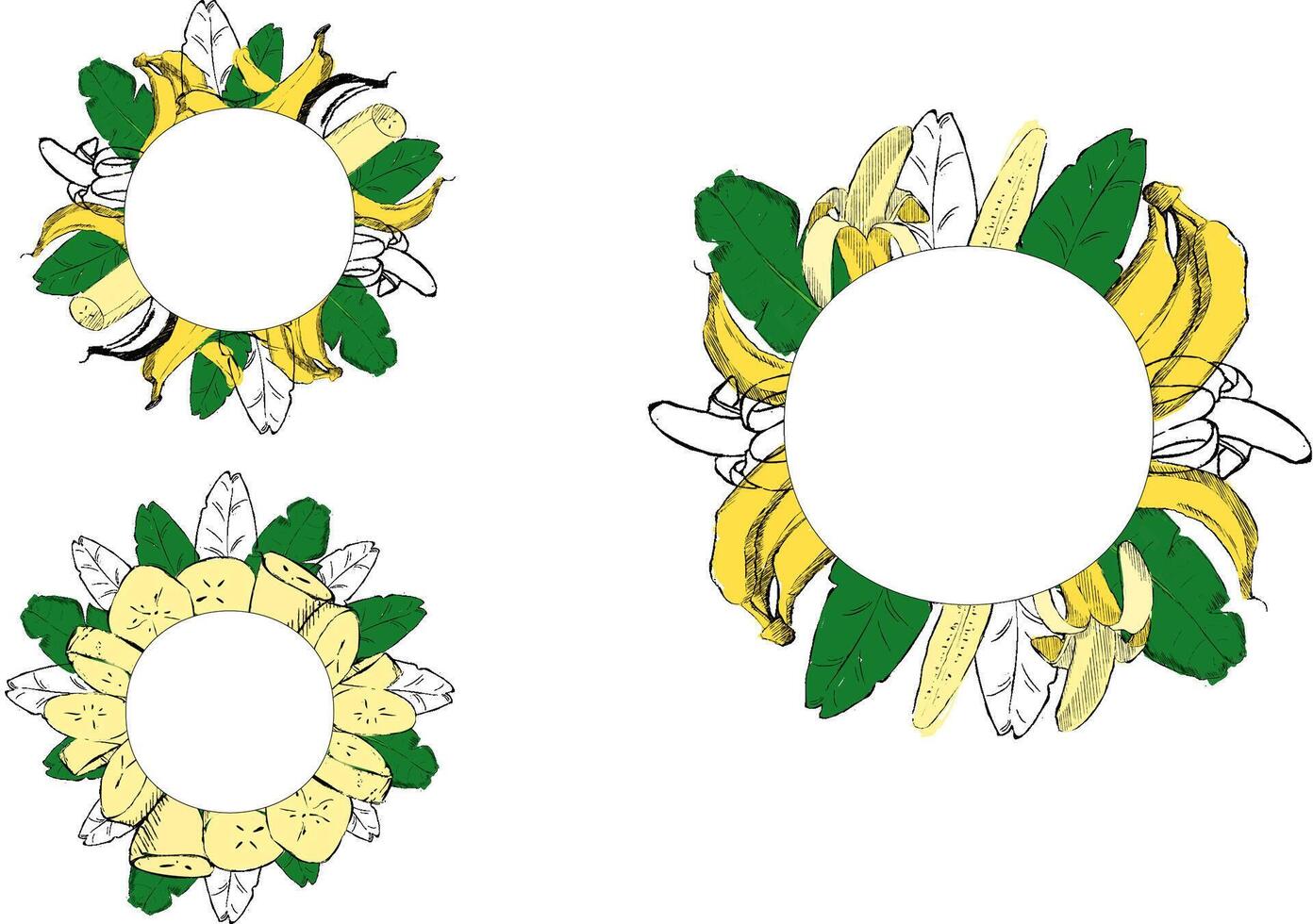 Banana fruit border circle round frame set. Graphic cartoon illustration isolated on transparent background. Bananas pictures for labels, prints, banners, tropical wedding invitation vector