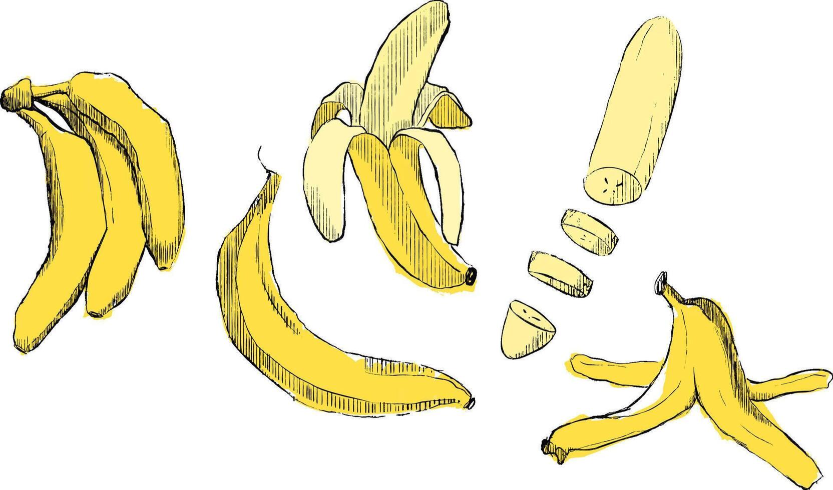Bananas graphic Cartoon set. Banana peel, banana slice, and yellow fruit of bananas. illustration icons set vector