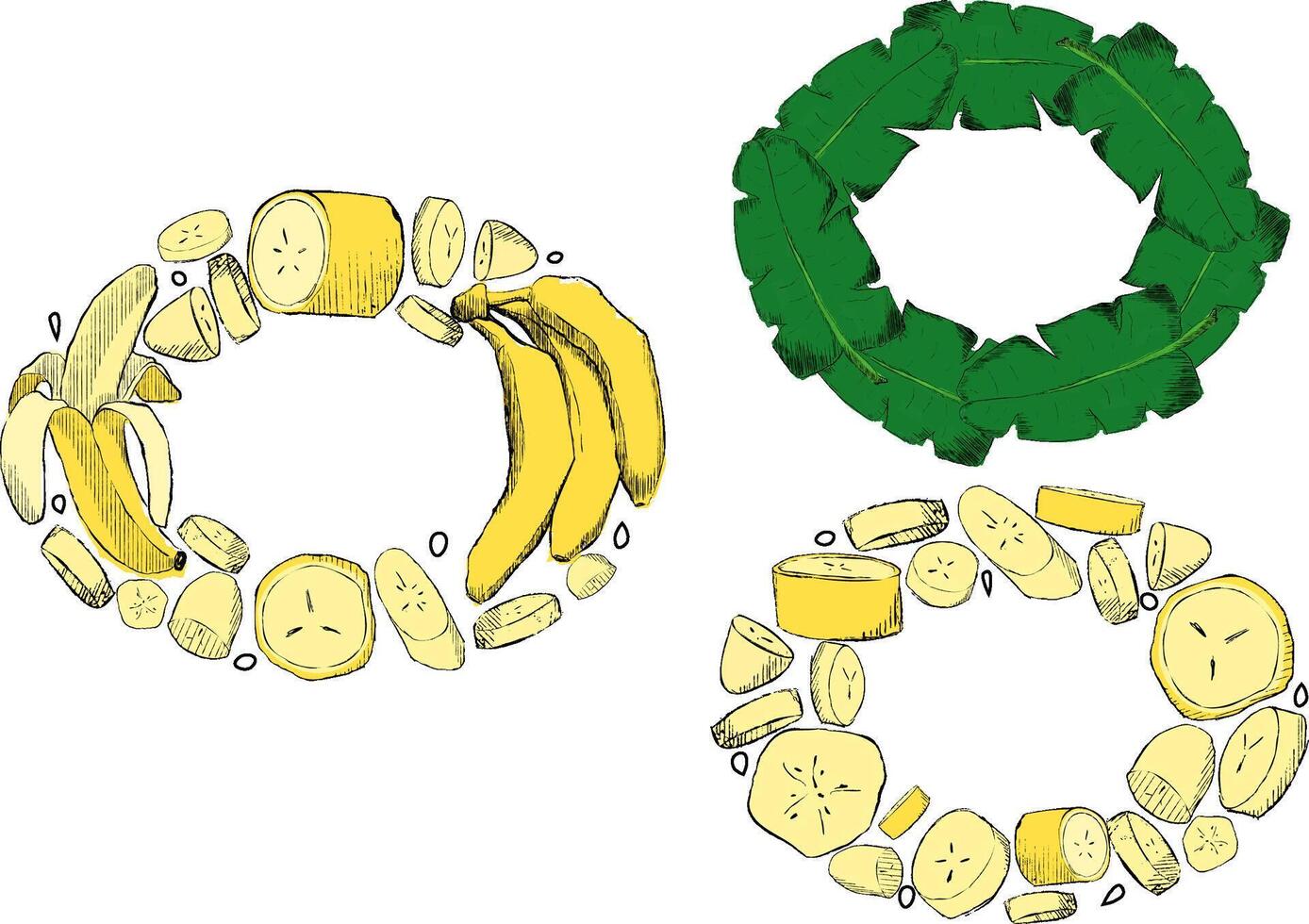 Set of rounded oval tropical leaves and banana frames. Graphic cartoon design, illustration vector