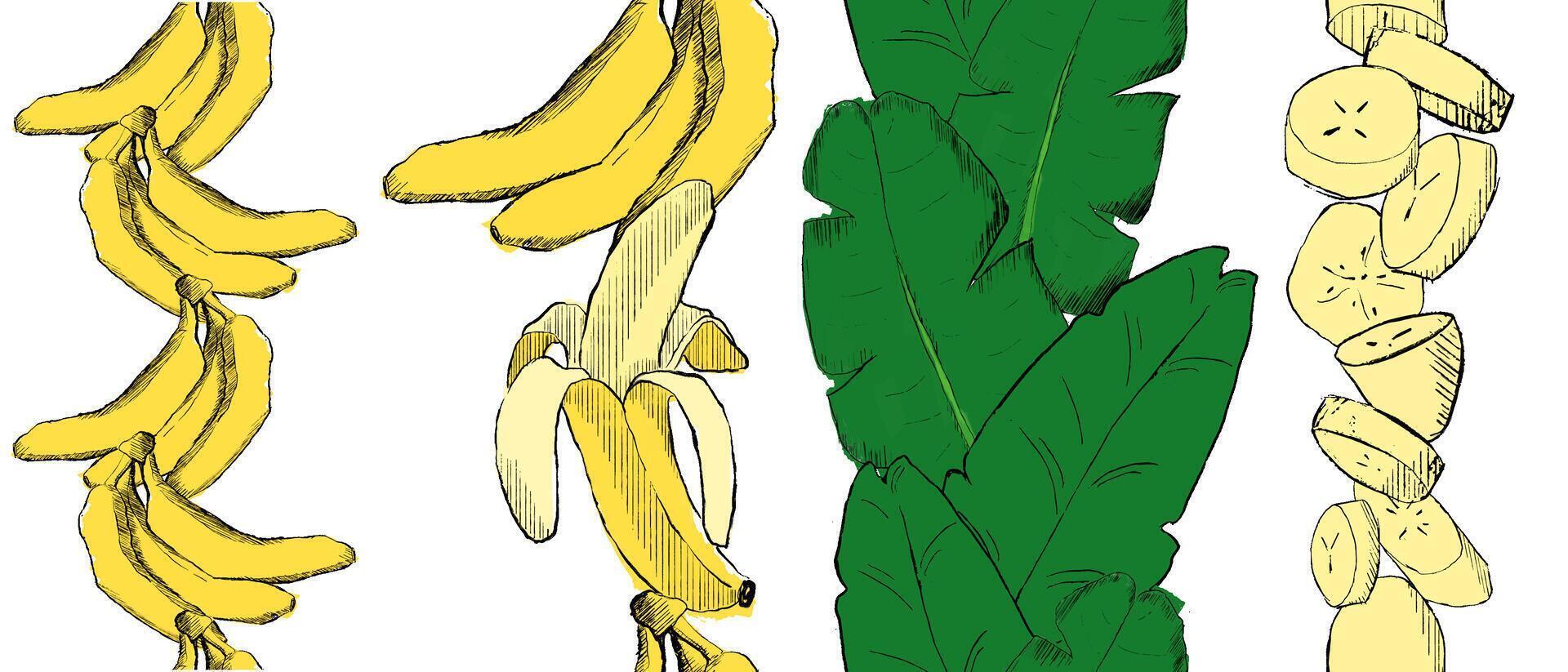 Banana vertical seamless border set. graphic illustration of bananas, slices, tropical leaves vector