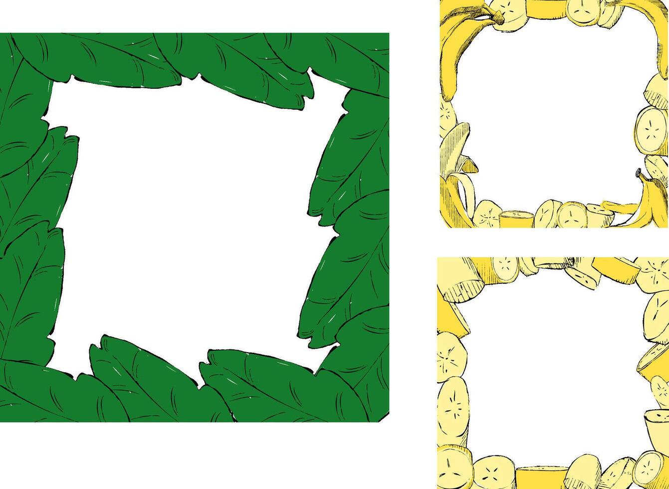 illustration. Set of three tropical frames with leaves and bananas. Graphic cartoon illustration. Place for your text. White background isolated. Idea for your card and poster vector