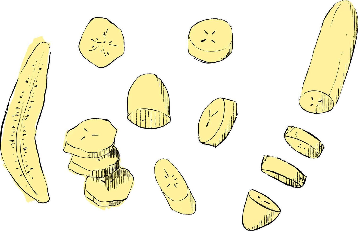 Banana slices set, graphic illustration. Fruit drawing, illustration. vector