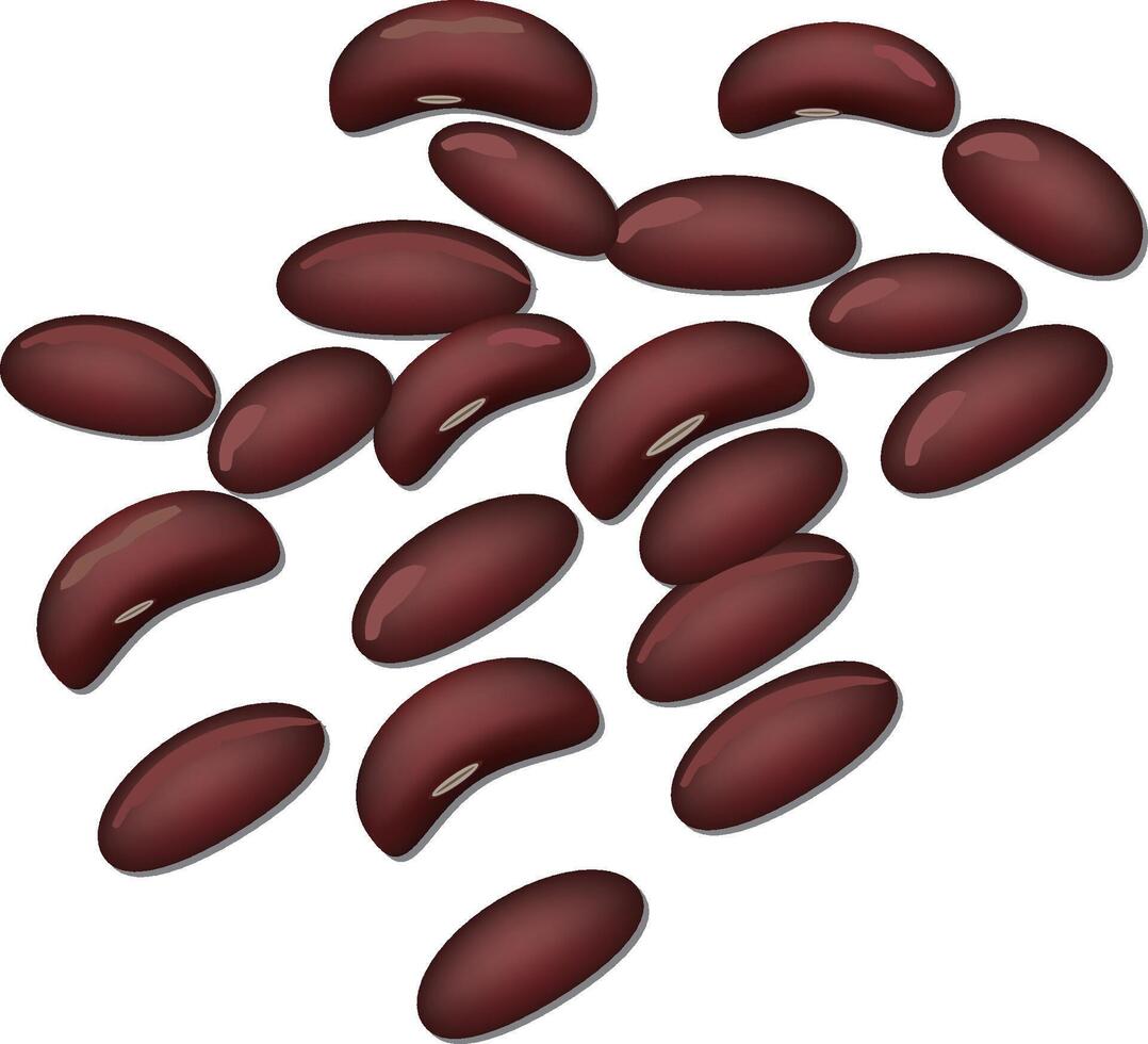 A bunch of red beans on a white background vector
