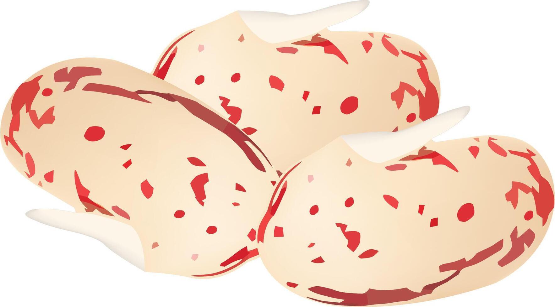A bunch of red and white beans vector