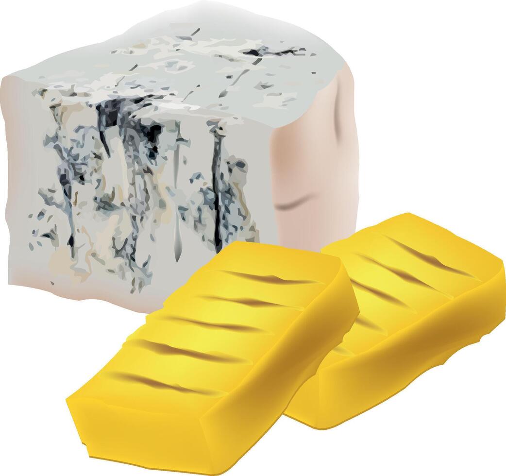 A block of cheese and a piece of cheese vector