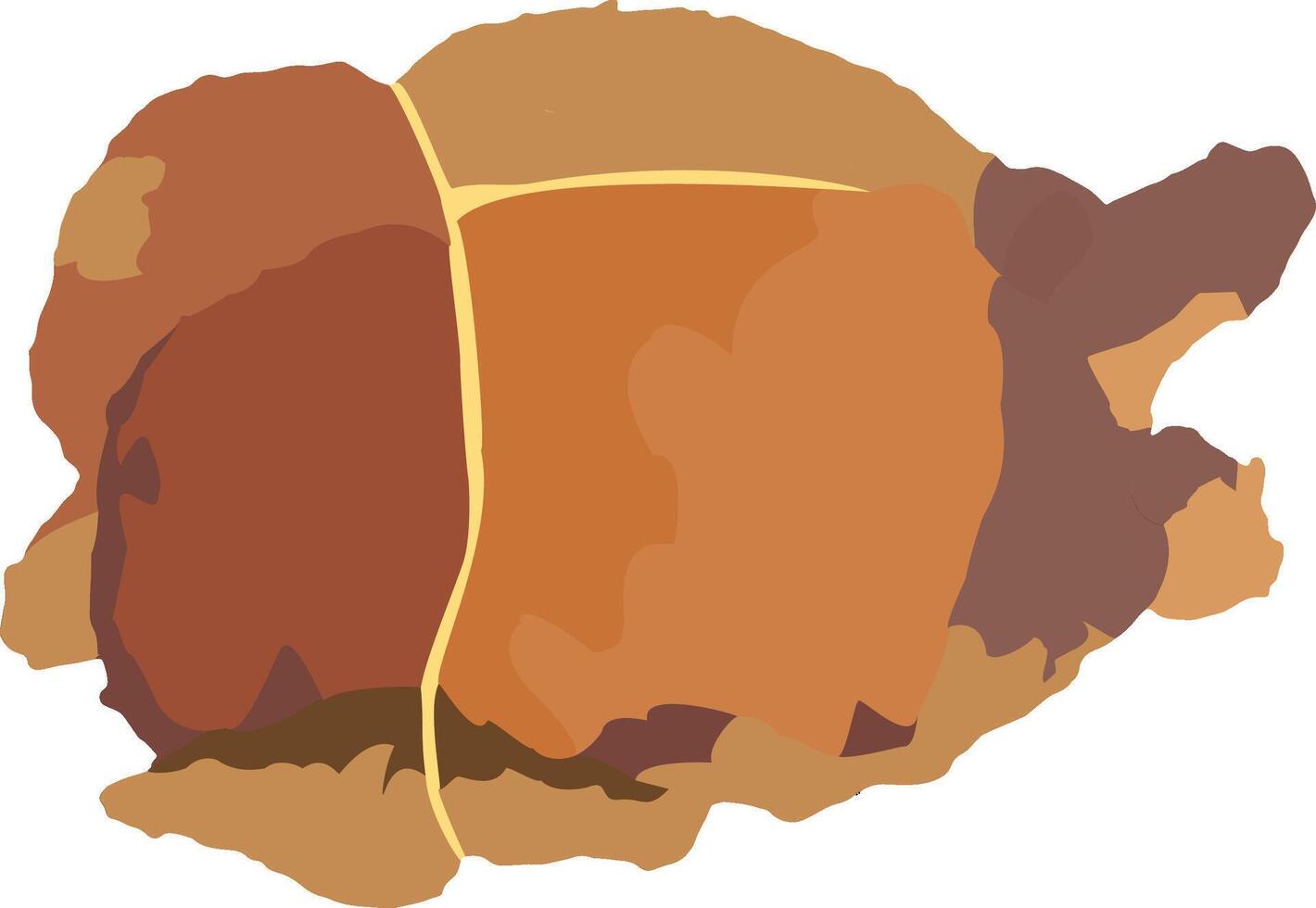 A cartoon of a piece of meat vector