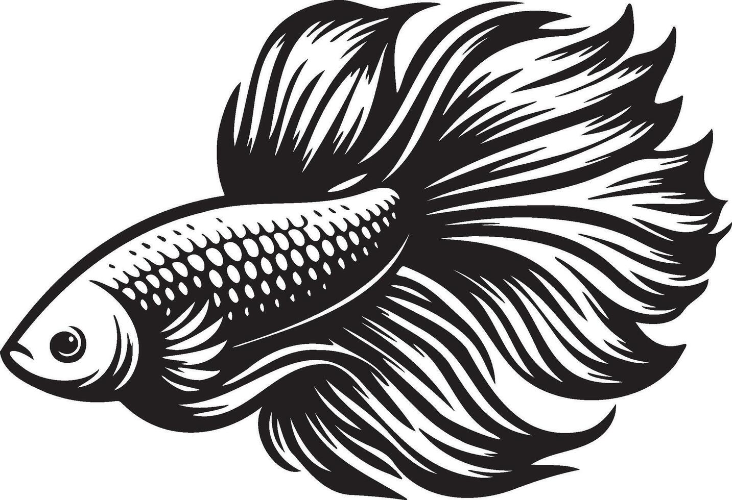 Hand Drawn Betta Splendens Fish Swimming Illustration. vector