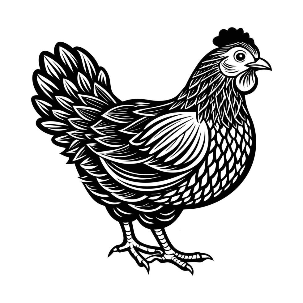 rooster isolated on white background vector