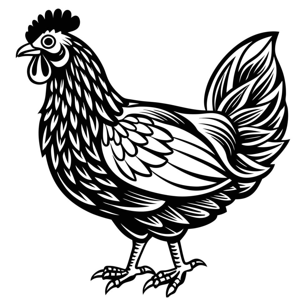 hen and rooster isolated on white background vector