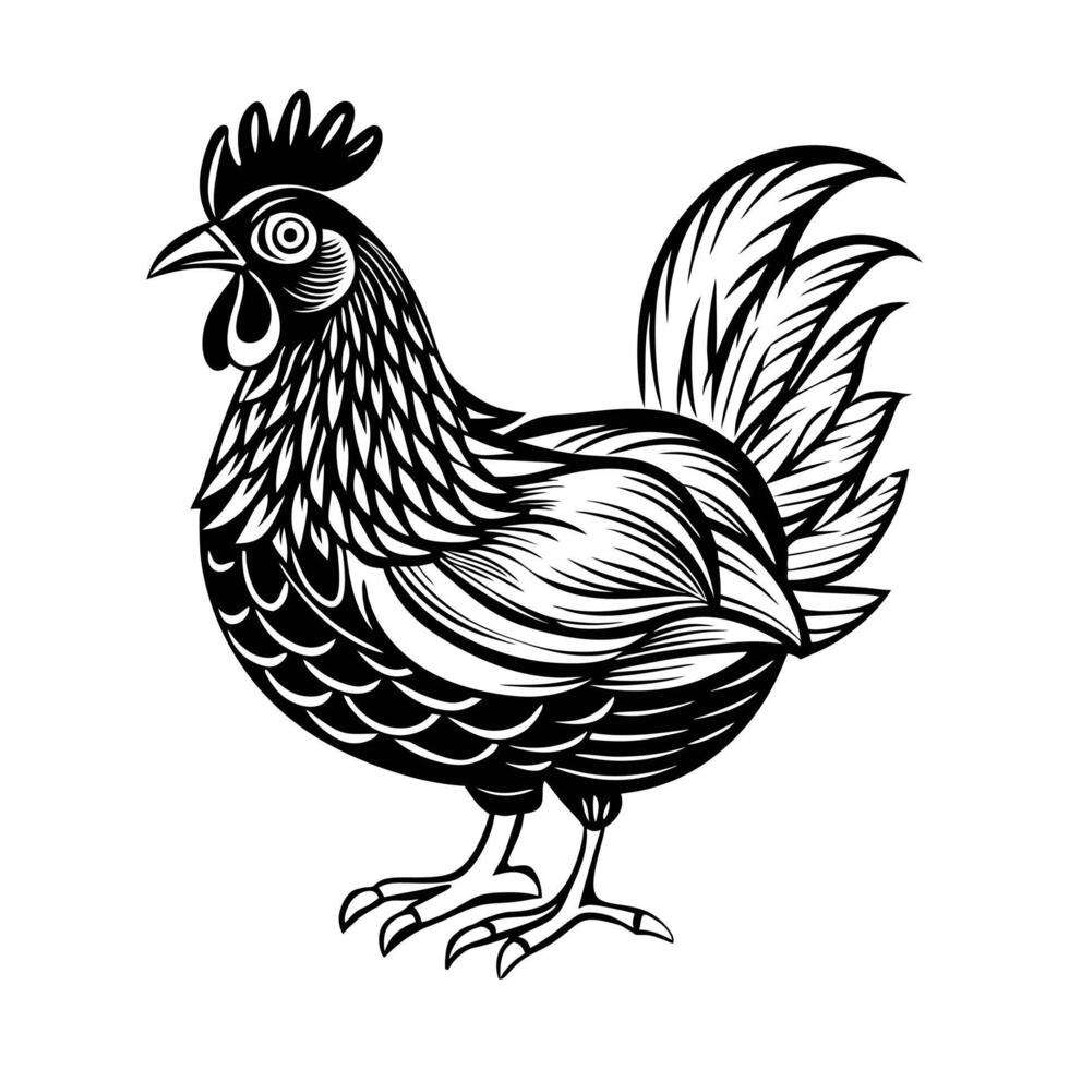 hen and rooster, hen , hen icon , illustration, hen silhouette of a hen isolated on a white background, eps, vector