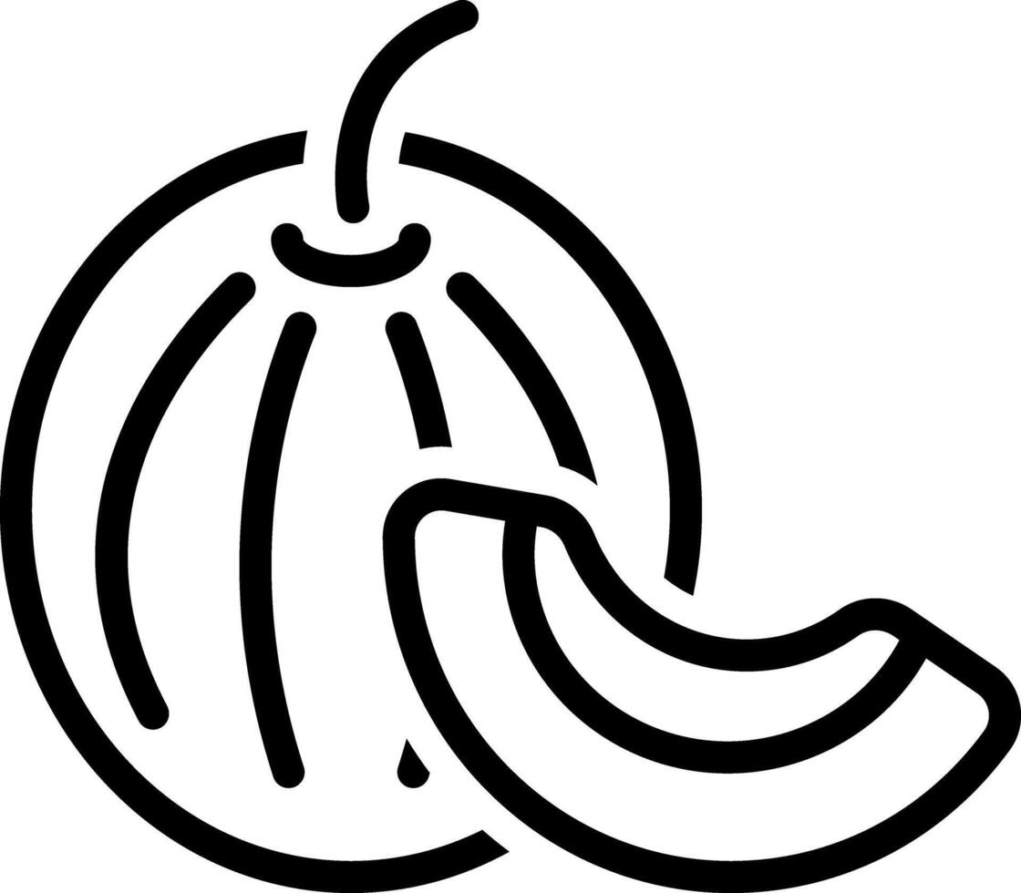 Black line icon for melon vector