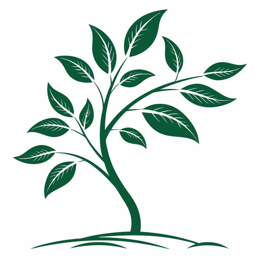 A green tree with leaves on it vector