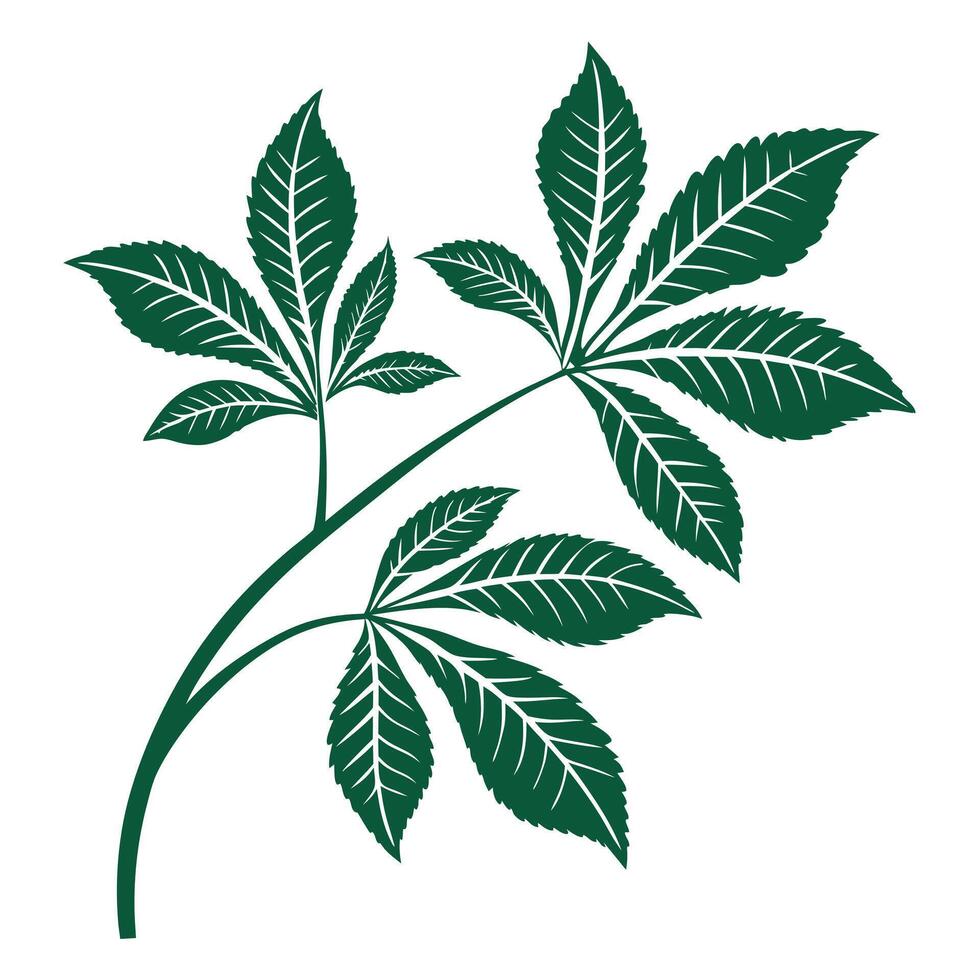 A green leaf on a white background vector