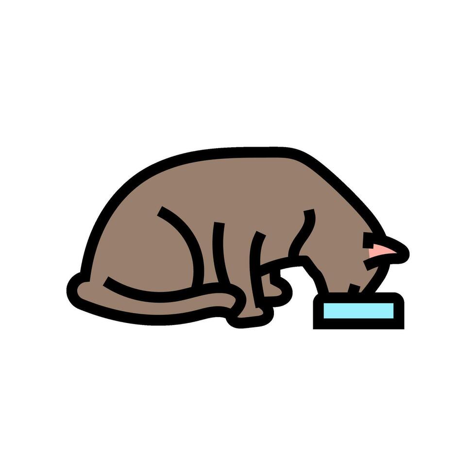 food bowl cat breeding color icon illustration vector