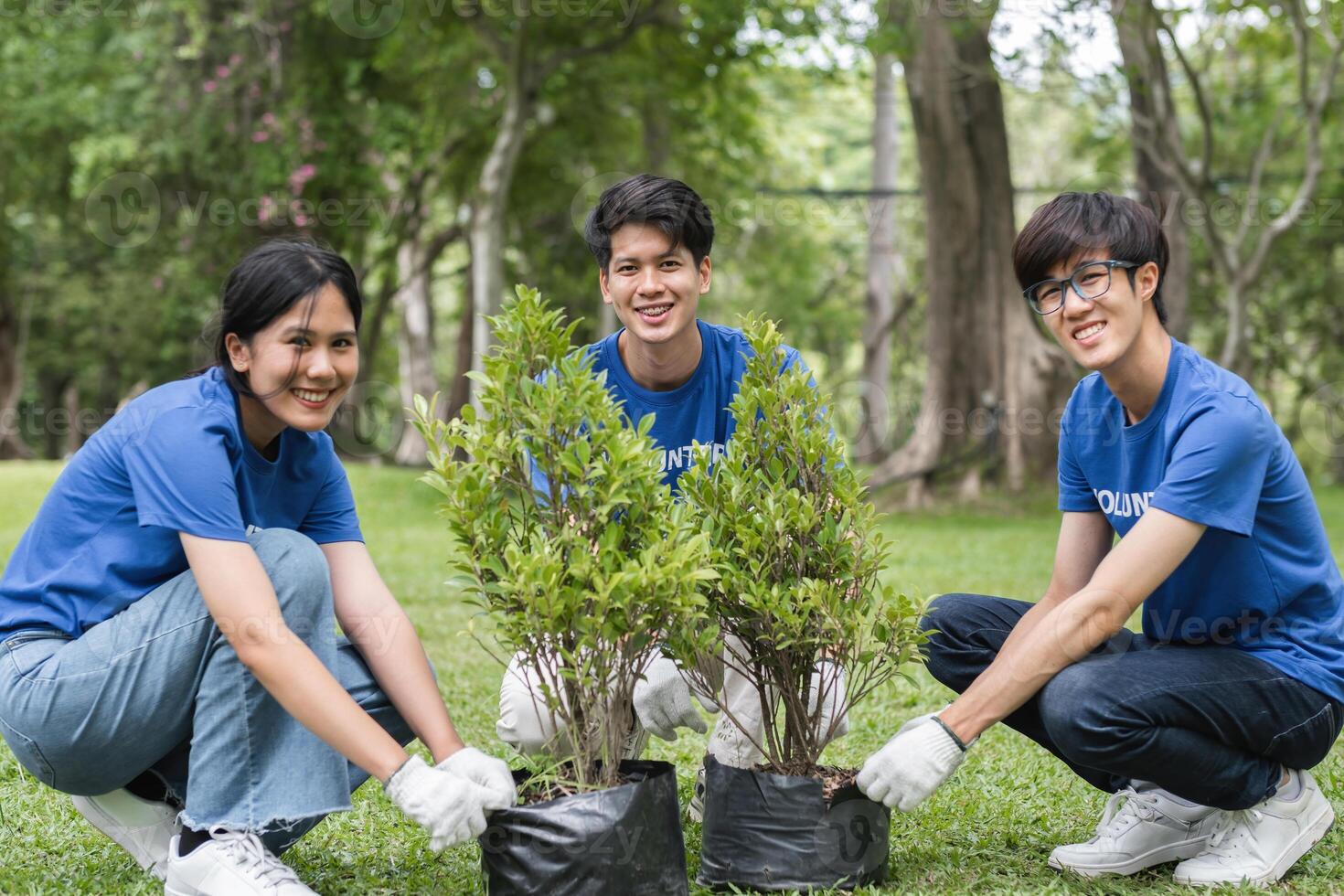 Enthusiastic Volunteer Team Planting Trees in a Park to Promote Environmental Conservation and Community Engagement photo