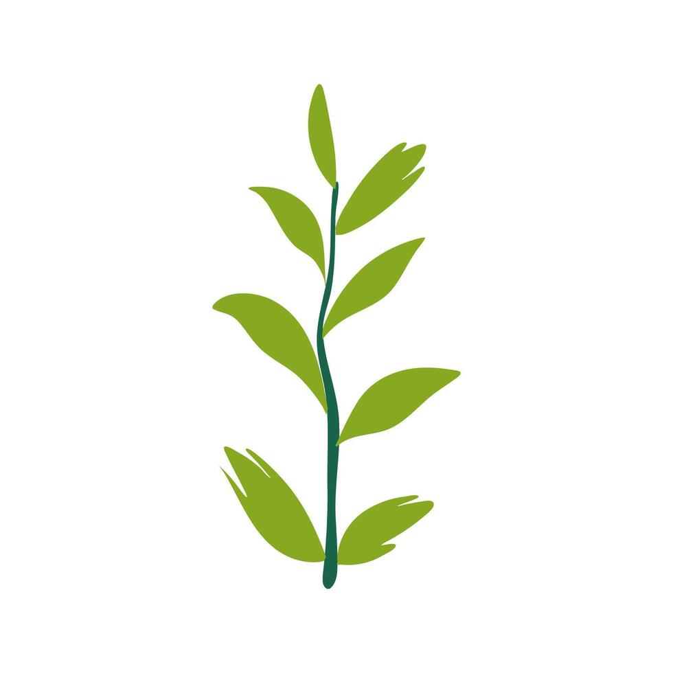 A green plant with leaves on it vector