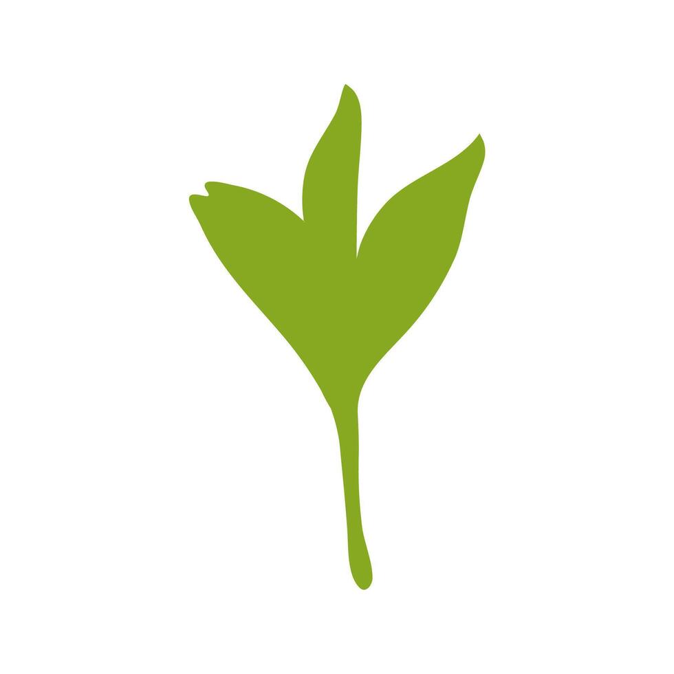 A green leaf is shown on a white background vector