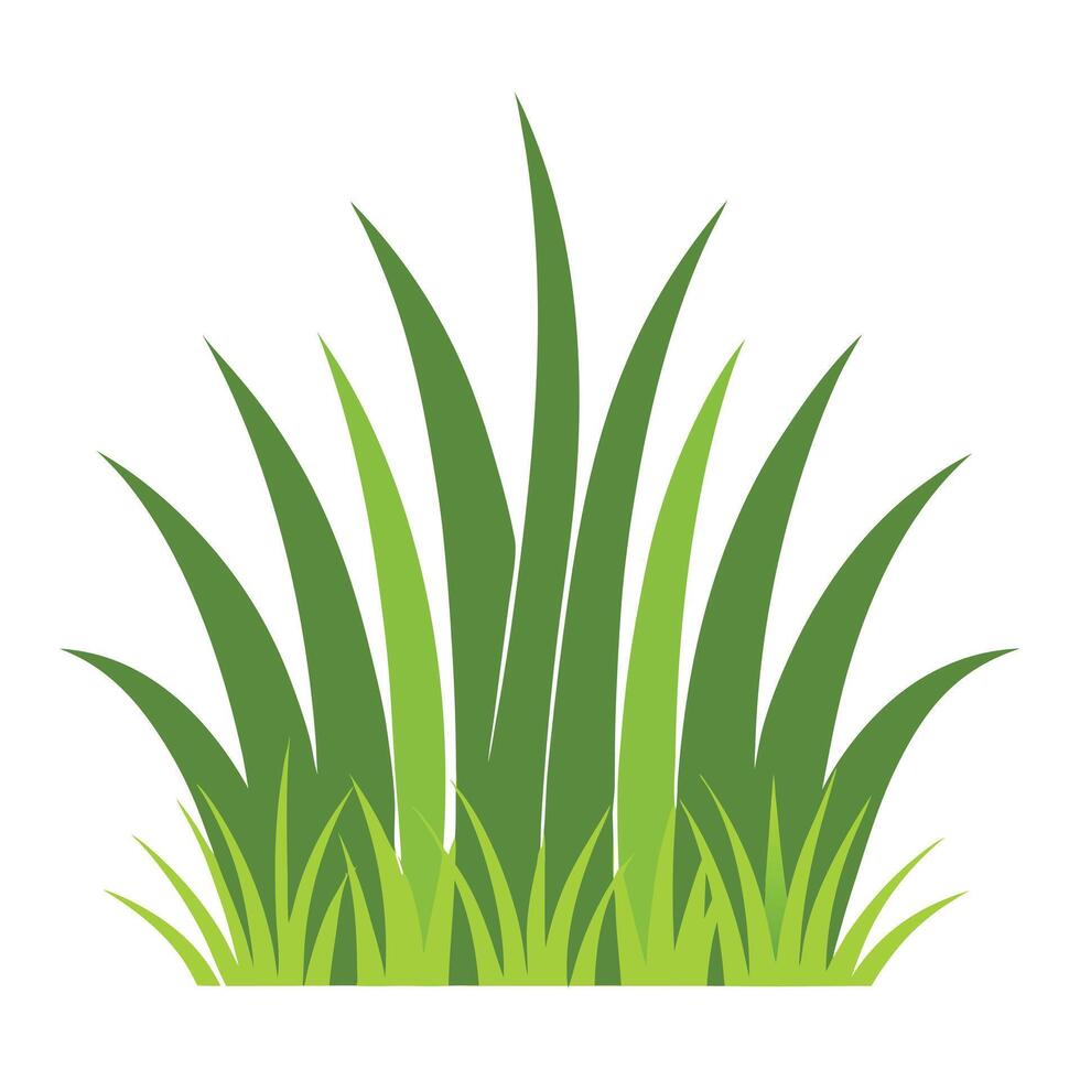 green grass illustration white background vector