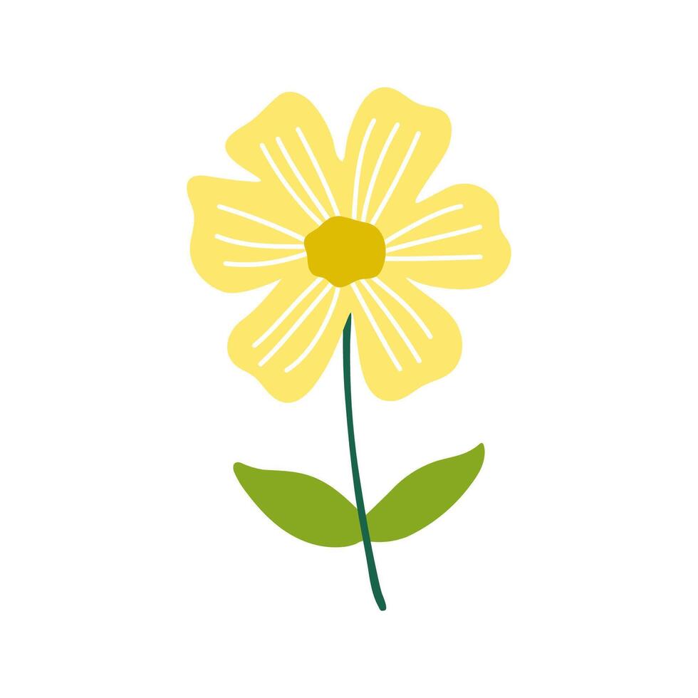 A yellow flower with green leaves on a white background vector