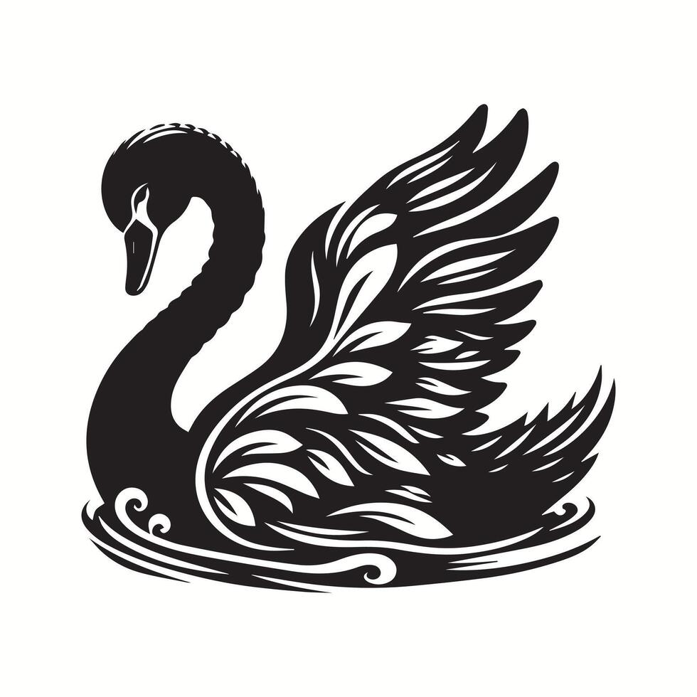 black swan on the water illustration vector