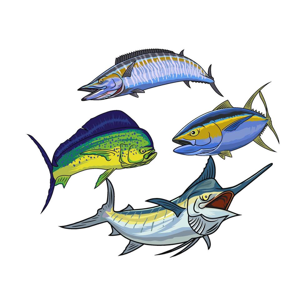 Sailfish marlin tuna mahi mahi dorado wahoo fishing swimming in opposite directions vector