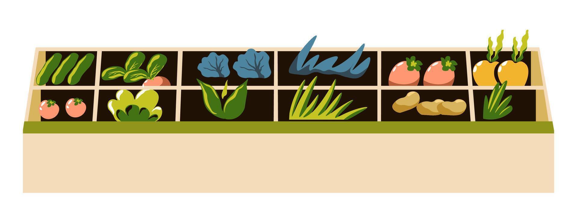 Vegetable Market Stand Display vector