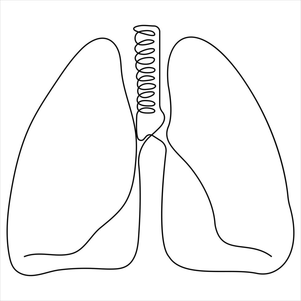 continuous single line drawing of anatomical human lungs organ medical internal anatomy concept vector