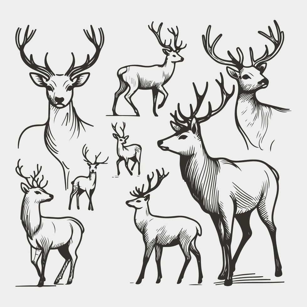 Stylized Deer- A Minimalist Collection of Poses vector