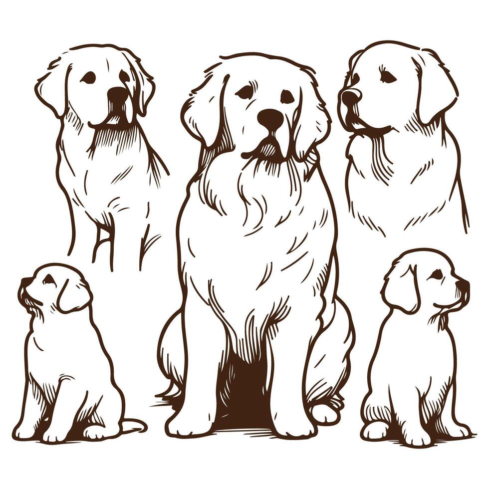 Stylish Minimal Dog Pose Illustrations vector