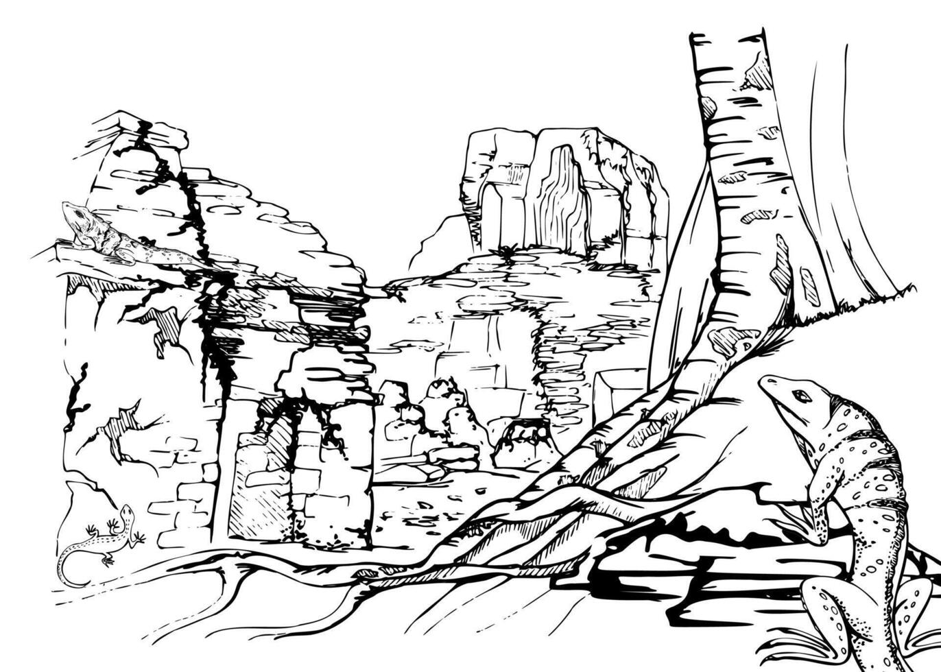 Mesoamerica Asia ancient culture religious temple pyramid ruins in jungle, tree roots iguana lizards. Hand drawn ink illustration, isolated scenic landscape. Design travel, vacation brochure vector