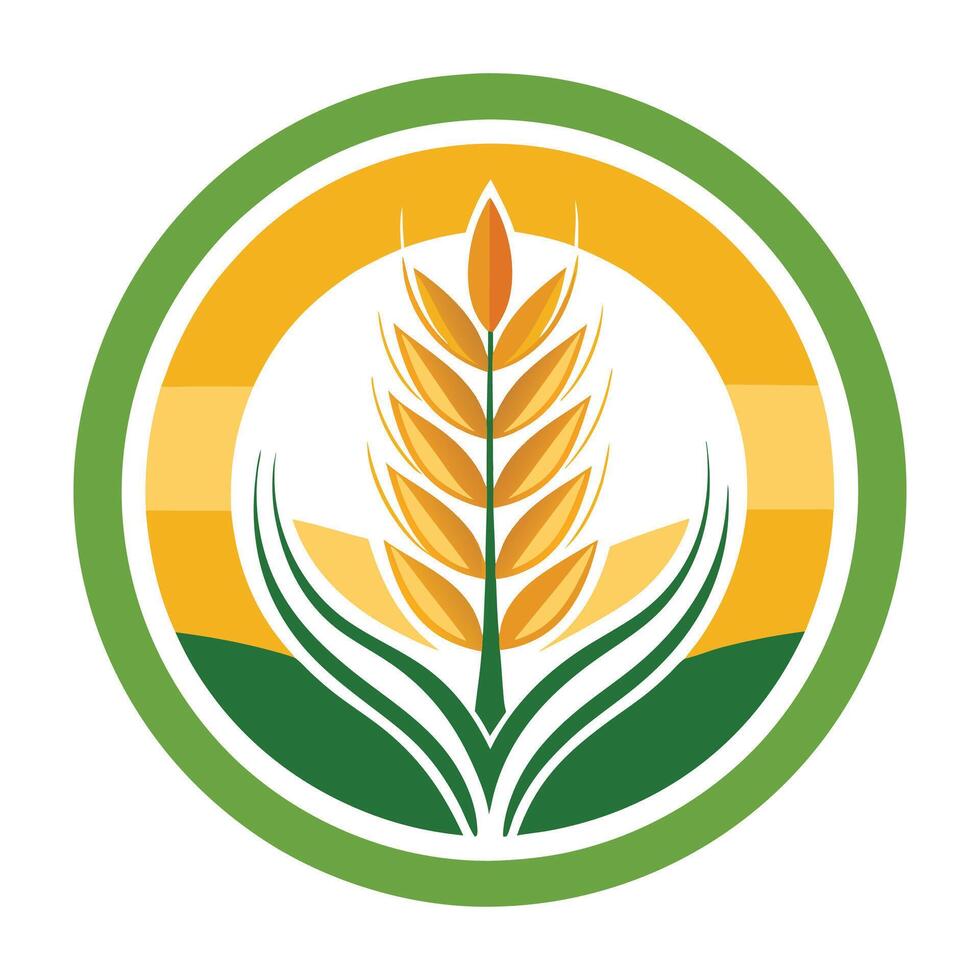 Hand drawn wheat collection vector