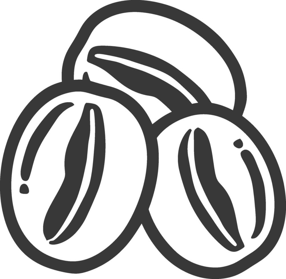 A black and white illustration of coffee beans vector
