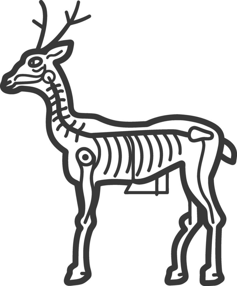 A deer skeleton is shown in a line drawing vector
