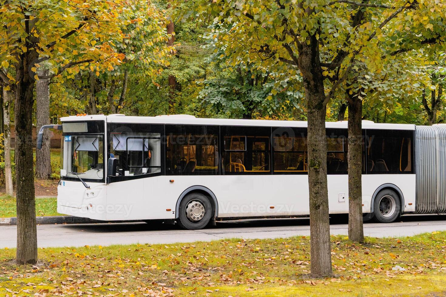 Modern white bus driving on road in autumn park photo