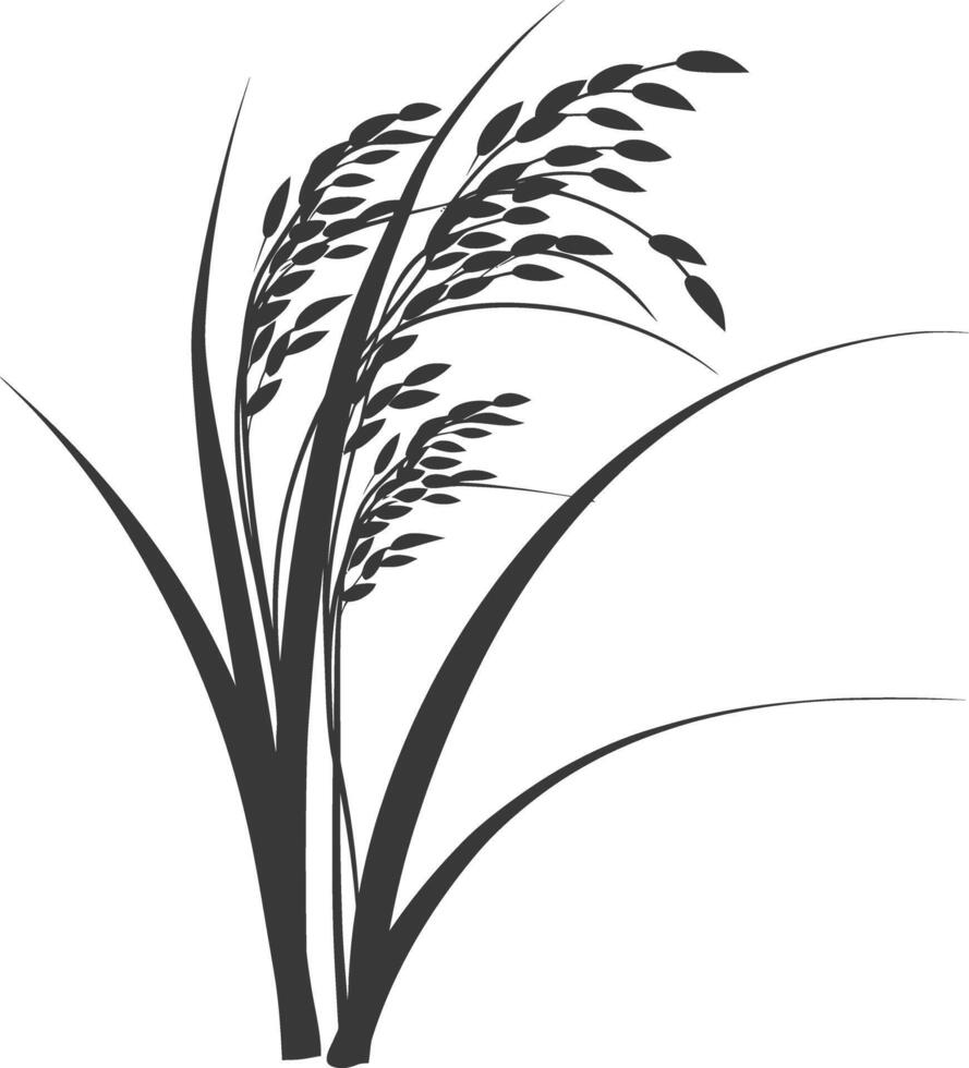 Silhouette of Rice Plant with Grains vector